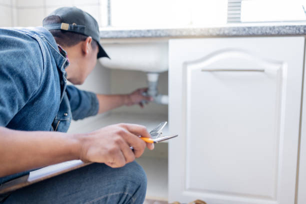 Best Local Plumber Services  in Wyong, MI